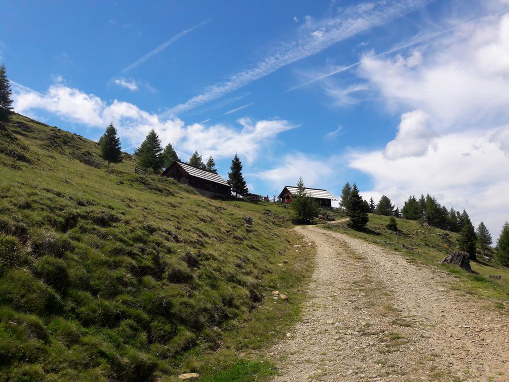 Ferienwohnung Gerti Kalt Lieserhofen Cameră foto